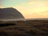 Tillamook Head Artsy.jpg